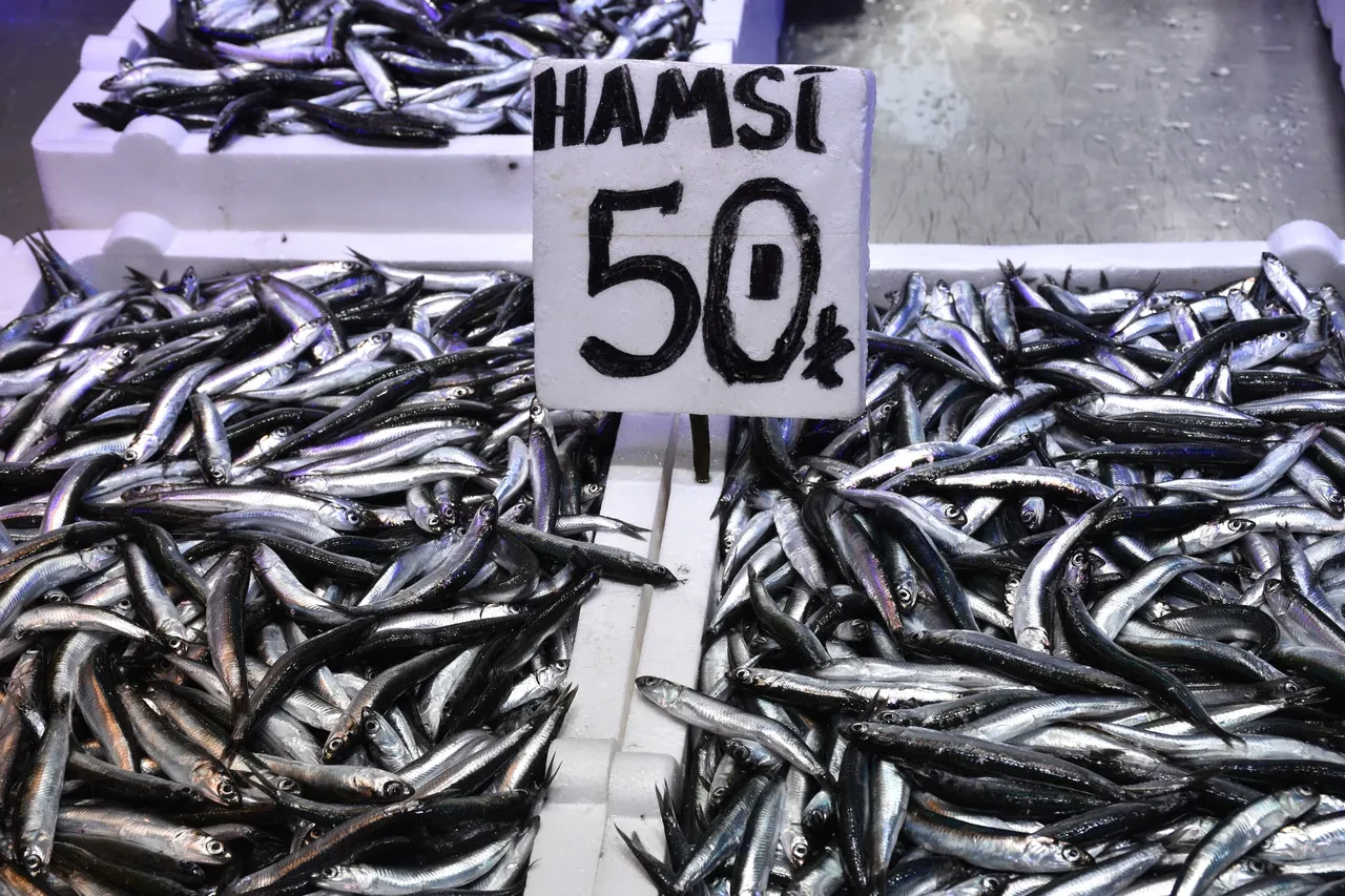 Tezgahlar hamsi bolluğu ve ucuzluğu: En pahalı balıklar belli oldu!