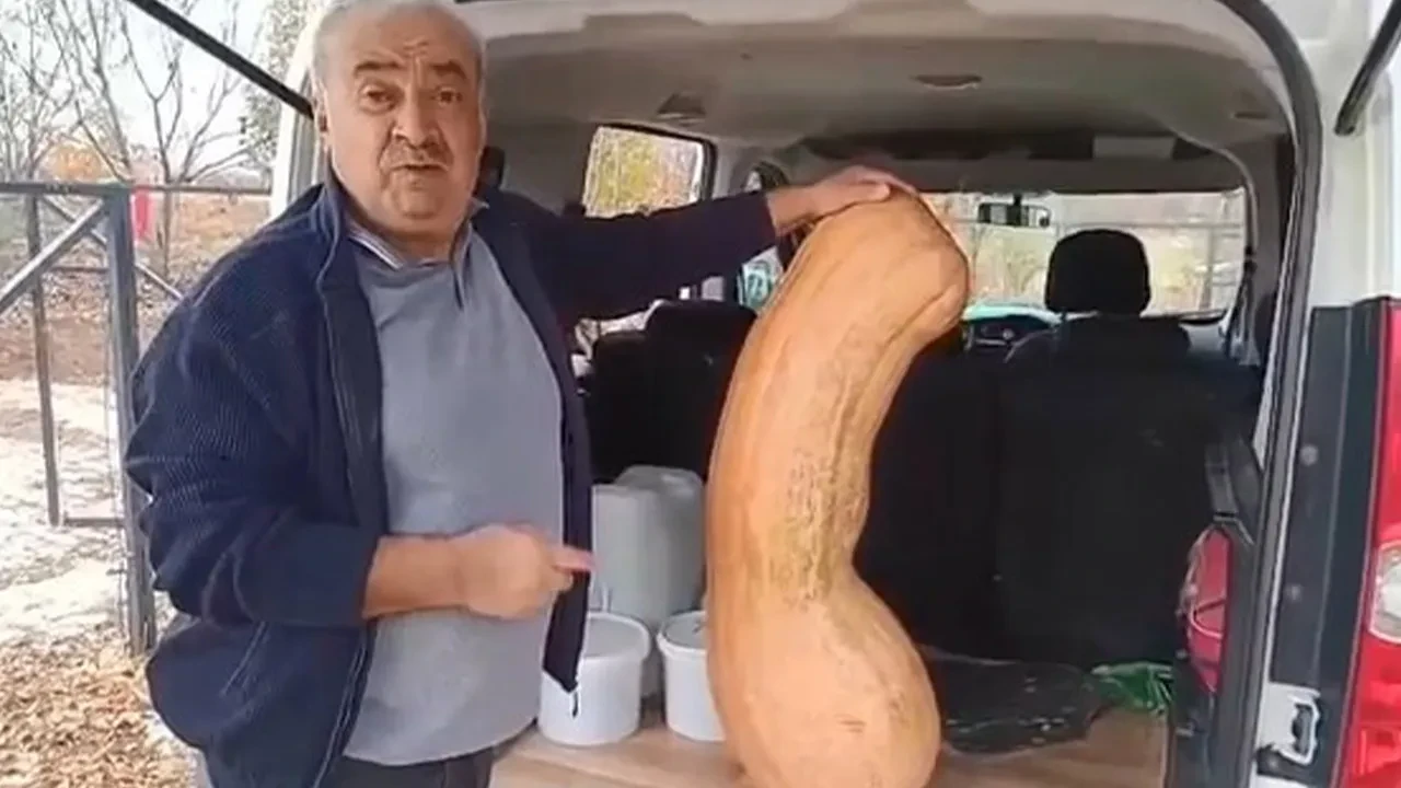Bahçesinde yetiştirdi, görenler hayrete düştü! Tam 47 kilo, 113 santimetre