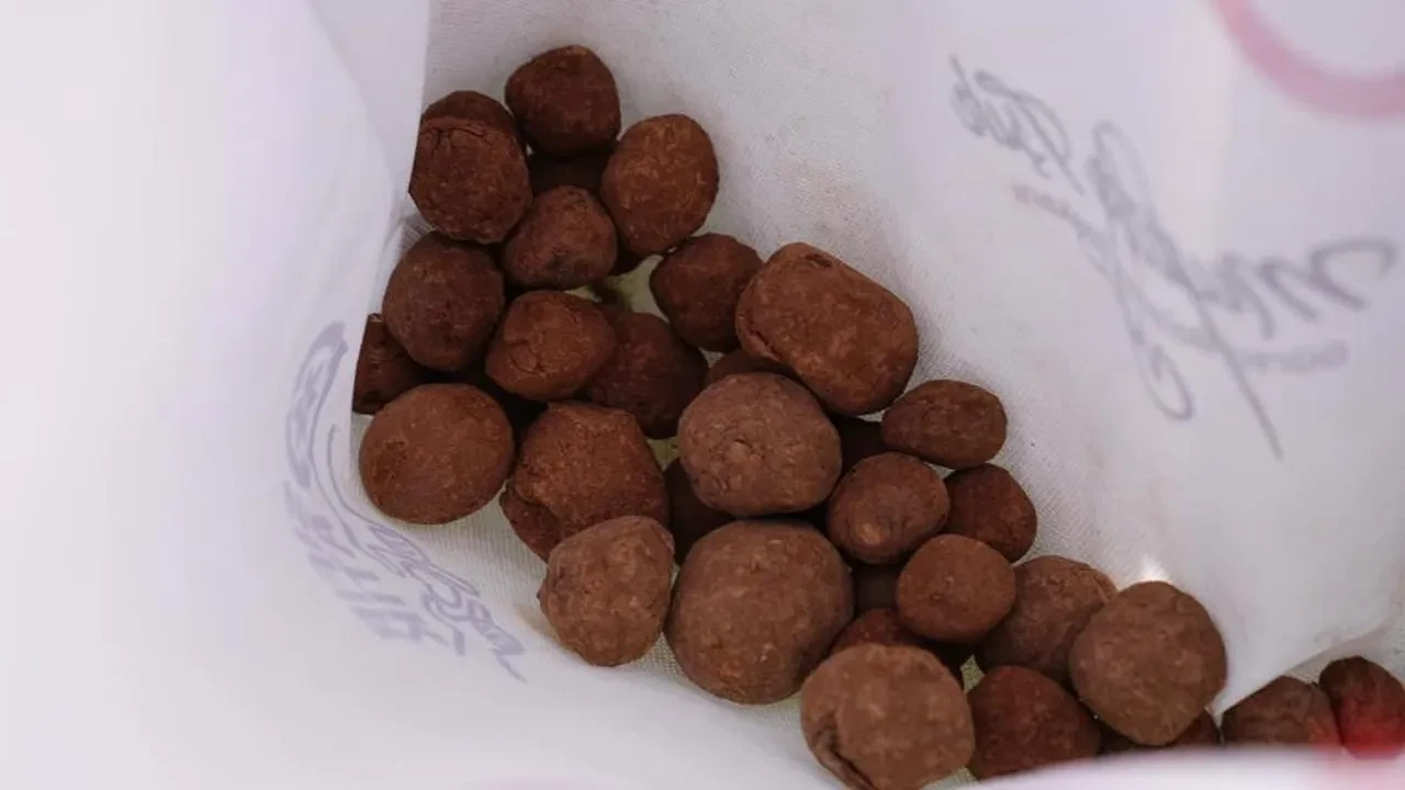 Paraşütçüler görev başına geçti! Yanan ormanlarımız yeniden yeşerecek