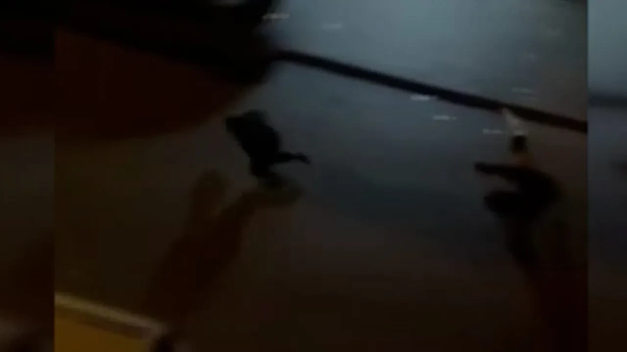 Sipariş götüren kuryeyi kemerle dövdüler! Olay anı kamerada 