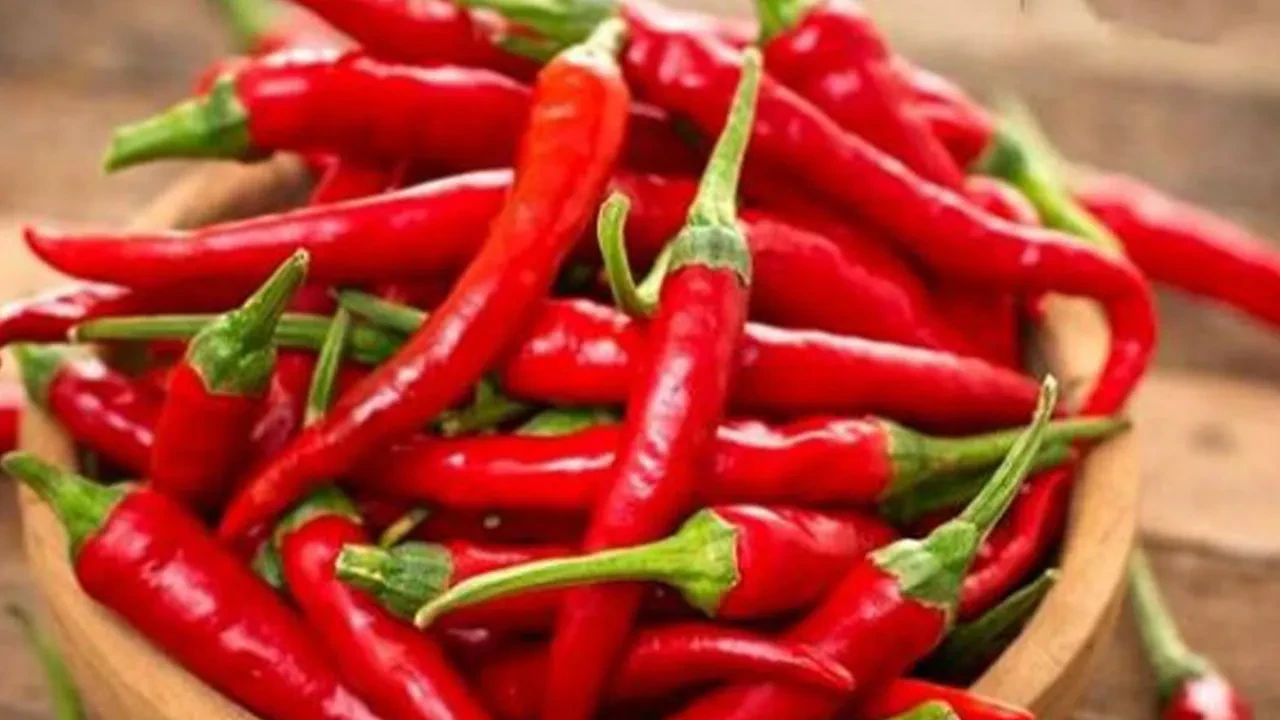 Acı biber hastanelik etti! Fenalaşan öğrencilerin sağlık durumuna ilişkin açıklama geldi