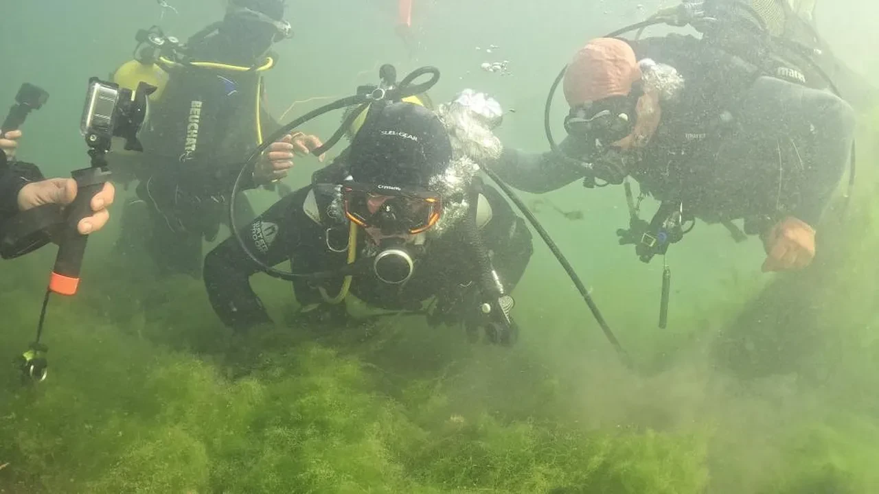 Belediye başkanı dalgıç kostümü giydi körfezin dibine baktı! Gördüğü manzara karşısında şaşkına döndü