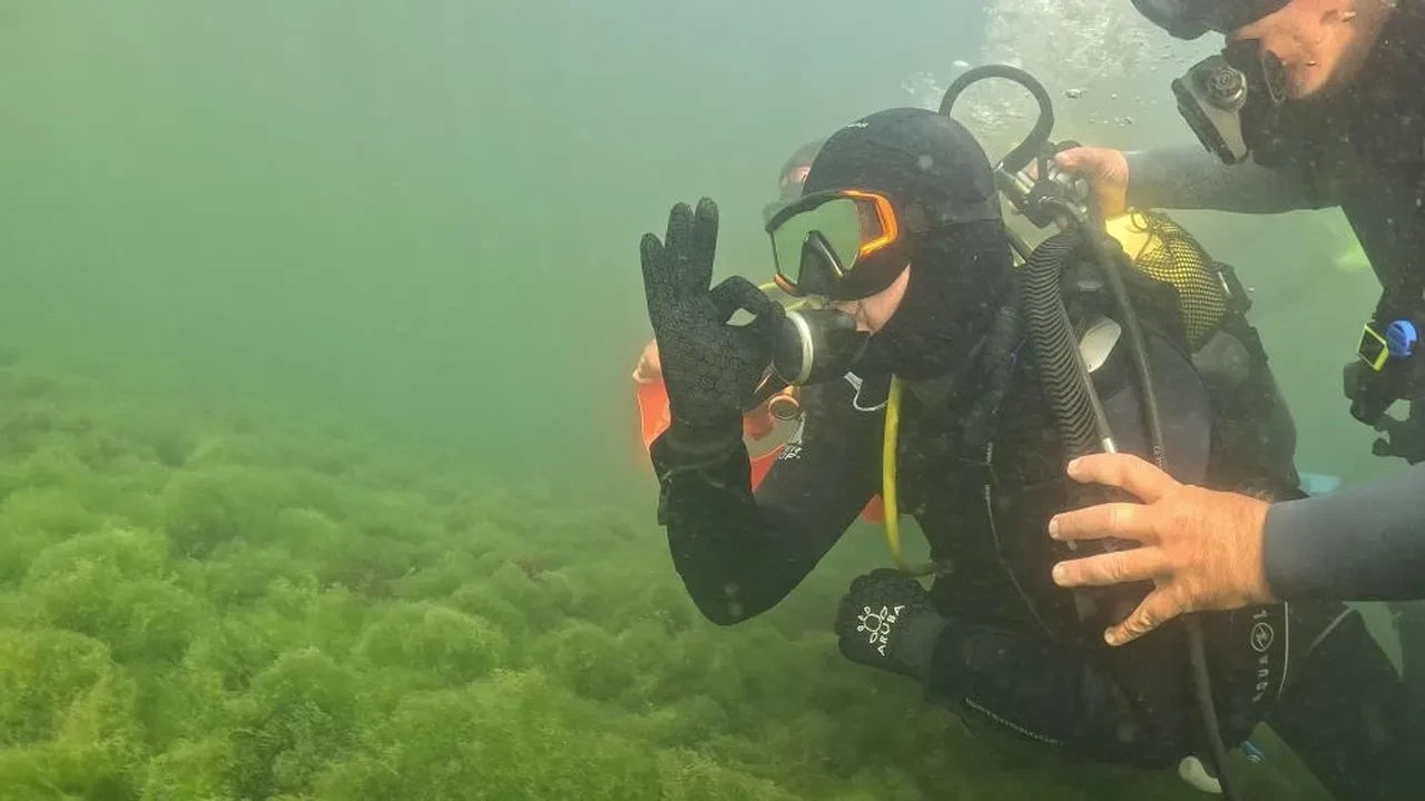 Belediye başkanı dalgıç kostümü giydi körfezin dibine baktı! Gördüğü manzara karşısında şaşkına döndü