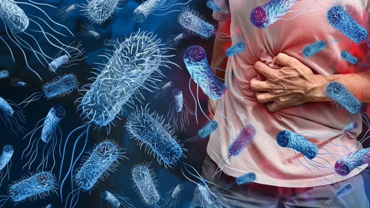 Gıda zehirlenmelerine dikkat! Bunları sakın hafife almayın: Uzman isimden hap gibi bilgiler