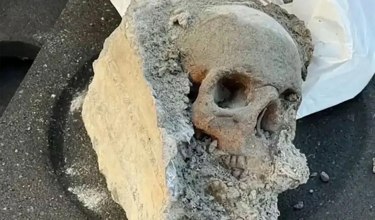 İşçilerin dehşete düşüren keşfi: Mafya cinayeti iddiası çürüdü, gerçek ortaya çıktı