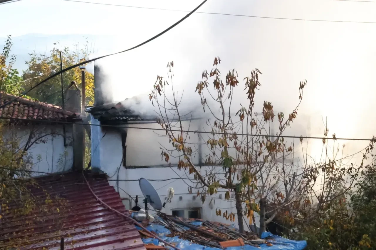 Muğla'daki yangında iki ev kullanılamaz hale geldi