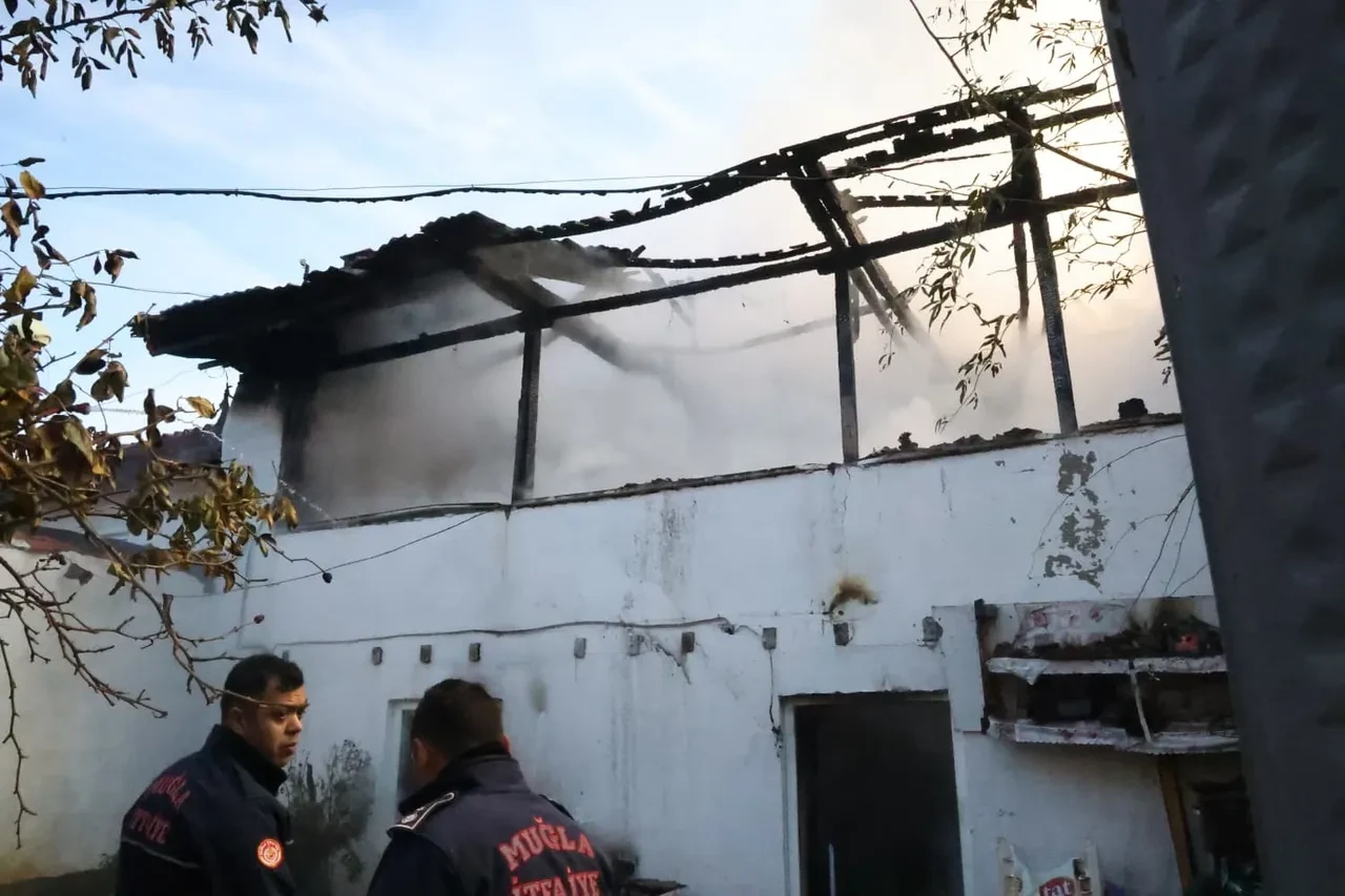 Muğla'daki yangında iki ev kullanılamaz hale geldi