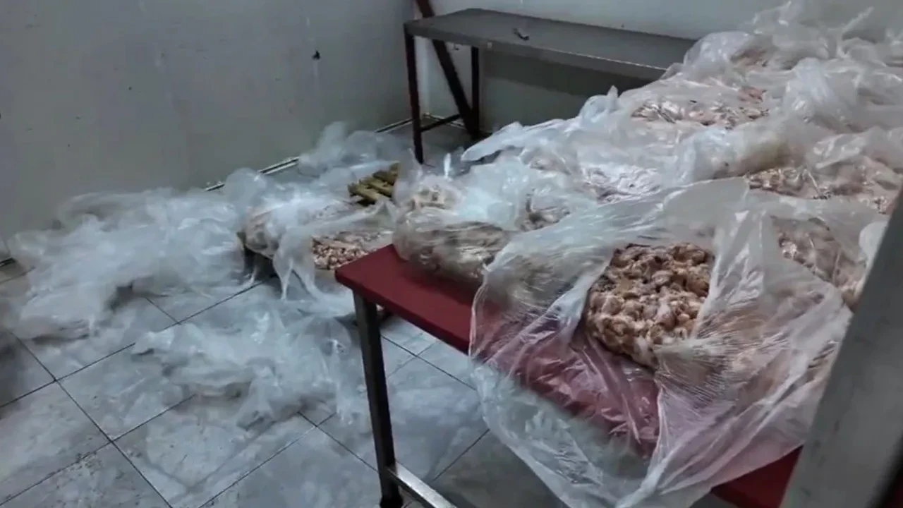 Antalya'da 25 ton bozuk tavuk ele geçirildi! Vatandaşa bunları yedireceklerdi