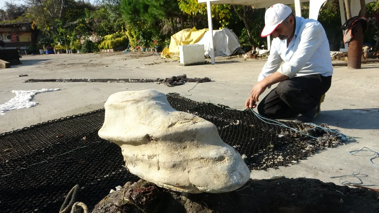 Artvin'den sonra Giresun'da şaşkına döndüren olay! Gizemli cisim ağlara takıldı