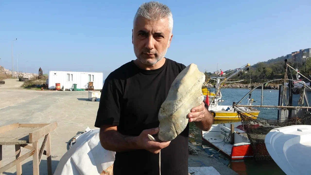 Artvin'den sonra Giresun'da şaşkına döndüren olay! Gizemli cisim ağlara takıldı