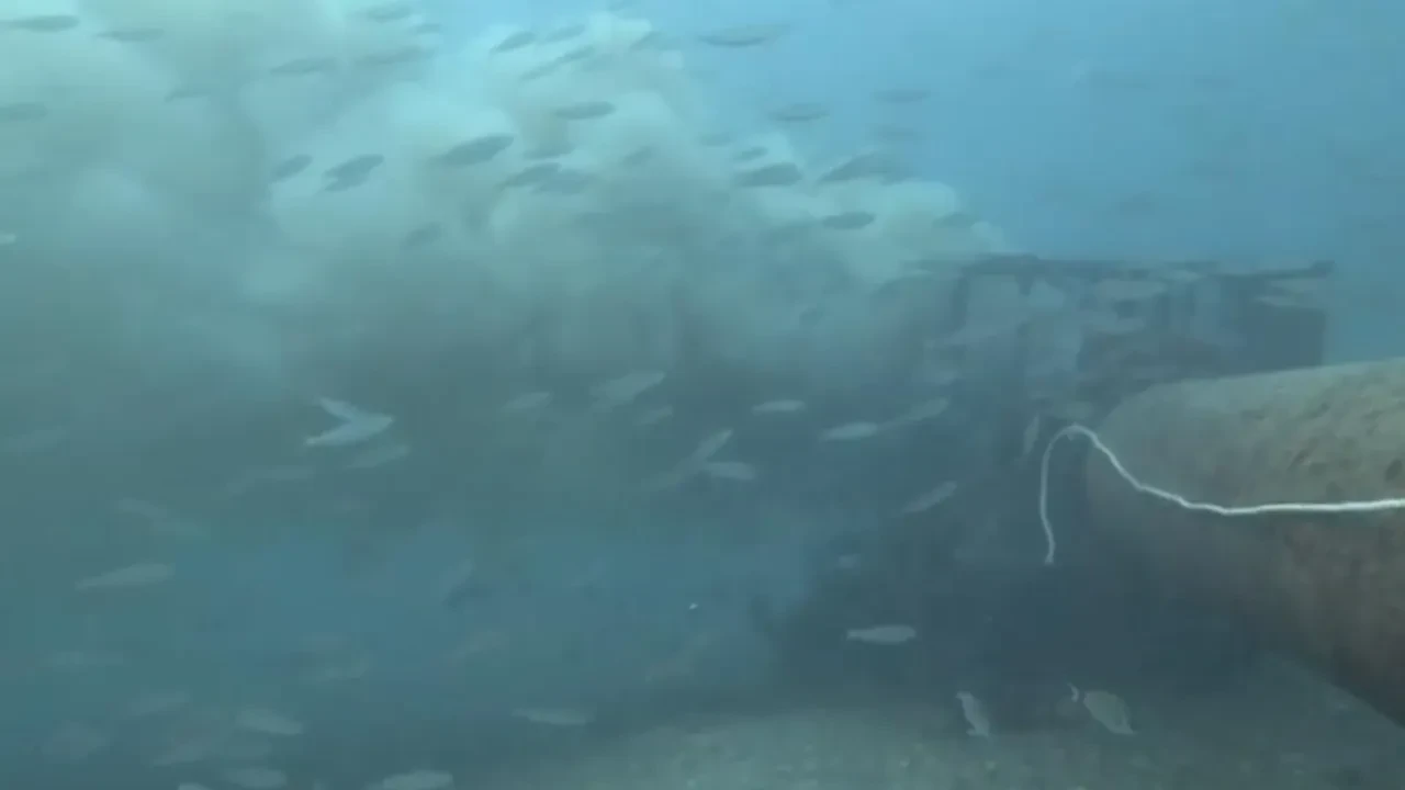 Balık avlamaya gitti denizin dibindeki korkunç görüntüyle karşılaştı!