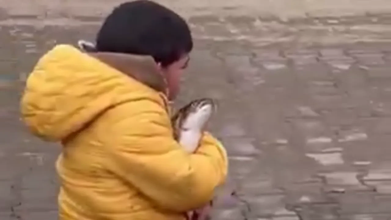 Balıkçı tezgahında ilginç anlar! Ağlayan çocuğun eline balık tutuşturdu