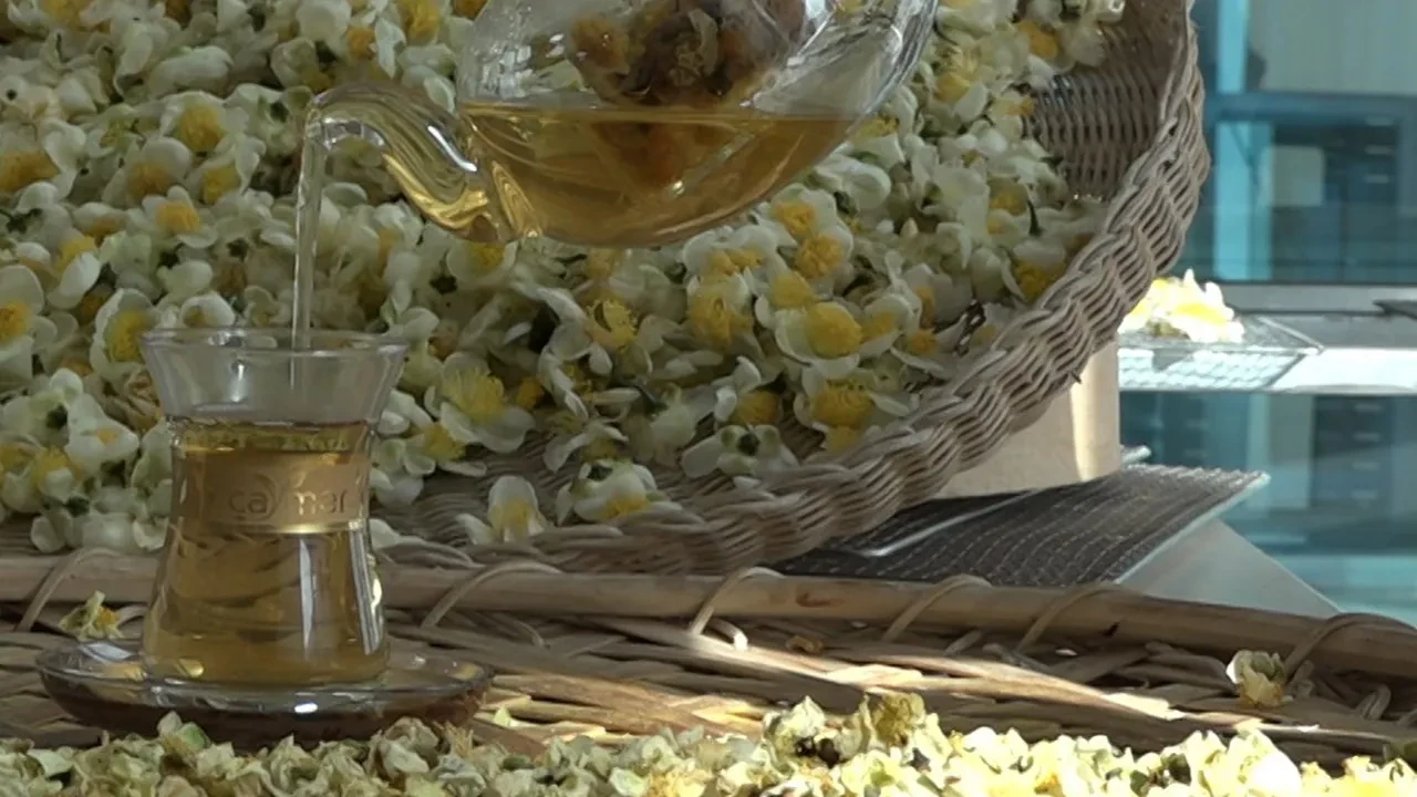 Çayın yeni ürünü geçim kaynağı! Kilosu 6 bin TL'den satılıyor