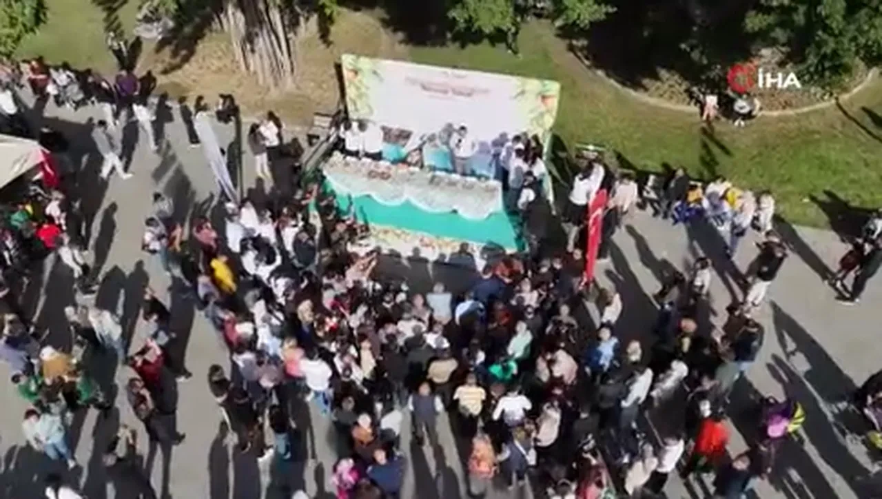 Filesini alan koştu! Kilolarca meyveyi dalından bedava topladılar