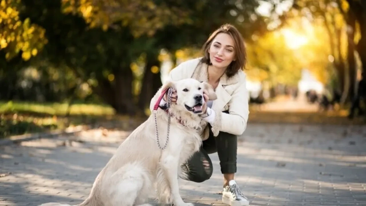 Köpekler ve insanlar arasındaki 'duygusal ortaklık' kanıtlandı