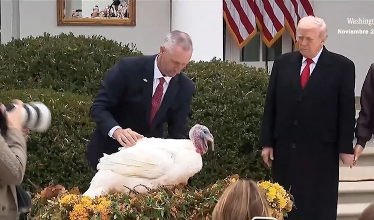 Trump Beyaz Saray'da hindileri karşıladı, onlar için resmi af çıkardı