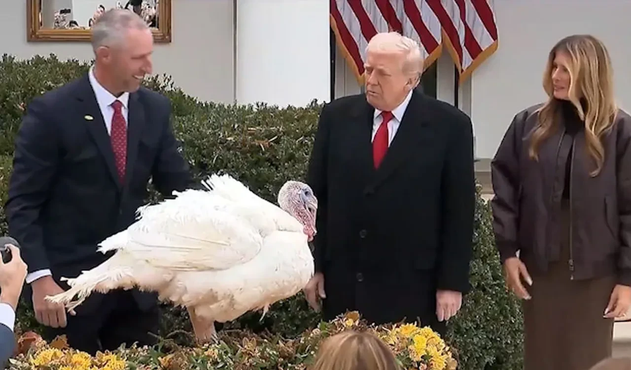 Trump Beyaz Saray'da hindileri karşıladı, onlar için resmi af çıkardı