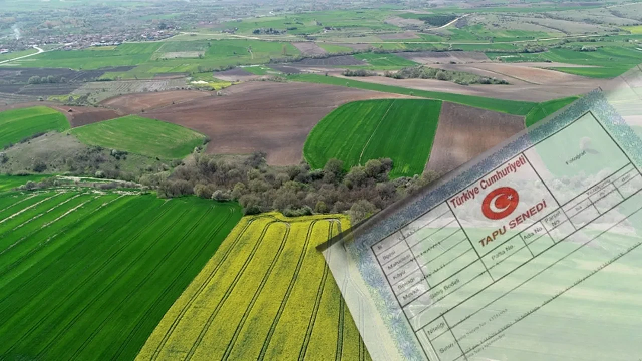 Arsa fiyatları en çok artan iller belli oldu! İlk sıradaki şehirler herkesi şaşırttı  