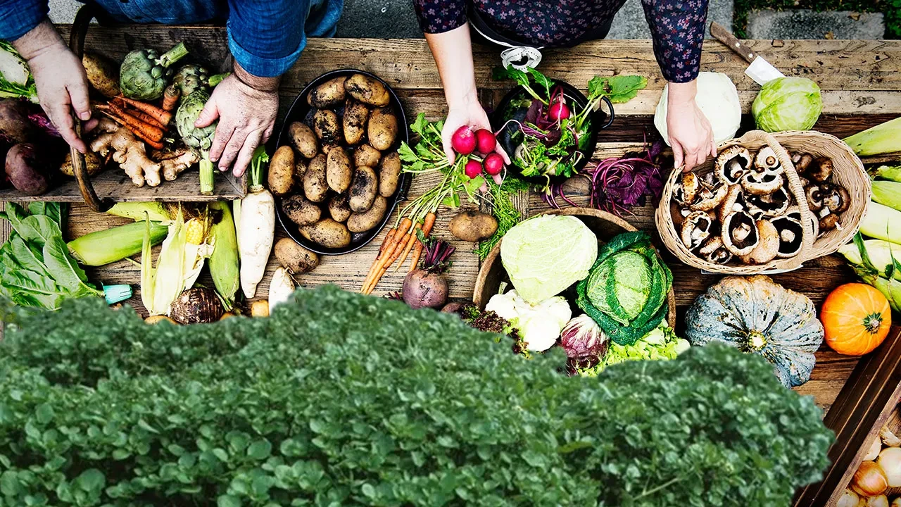 Dünyanın en sağlıklı sebzesi açıklandı! Faydasıyla doktorları bile şaşırttı