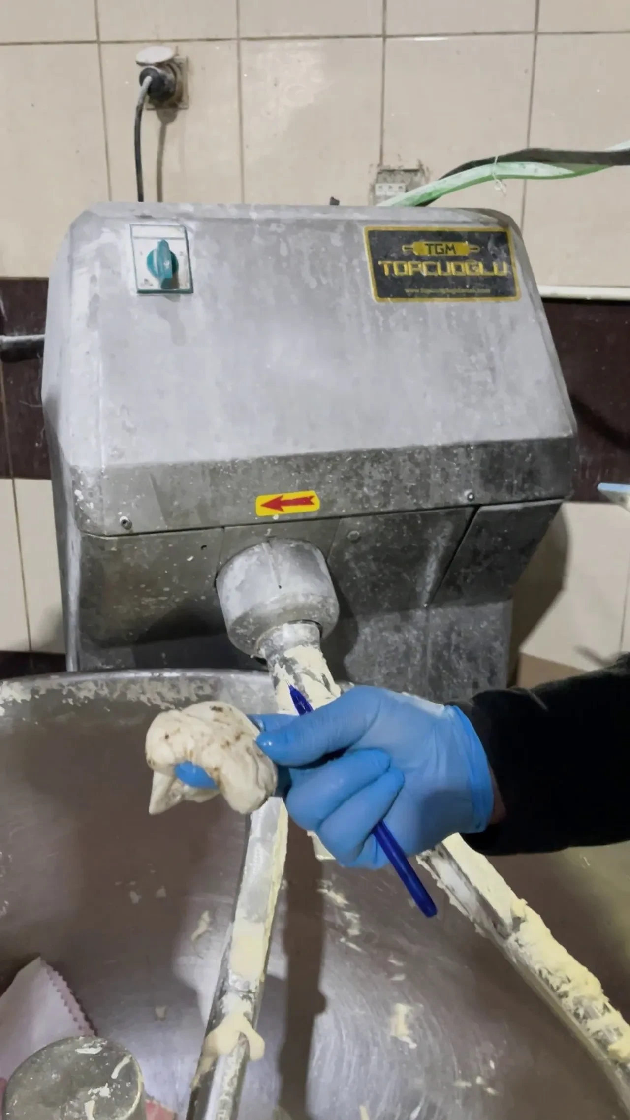  Fırın denetiminde mide bulandıran görüntüler! Böcek türleri saymakla bitmedi 