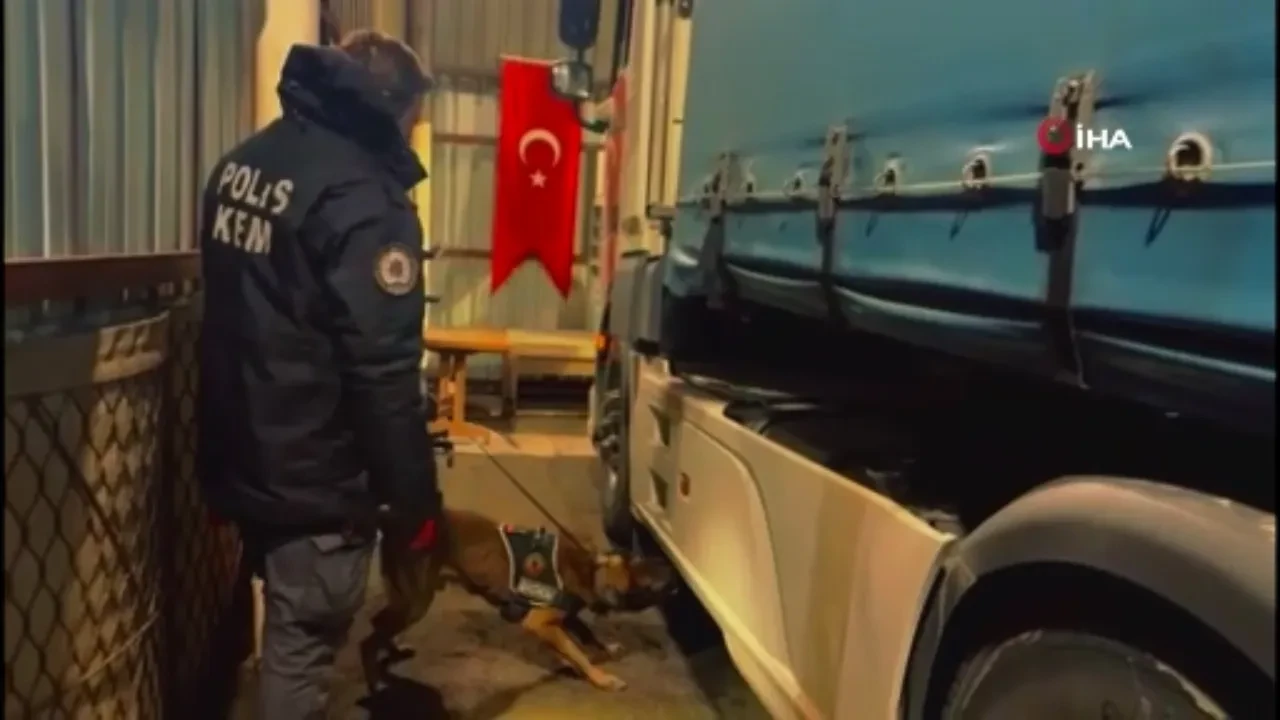 Jandarmadan zehir tacirlerine operasyon! 