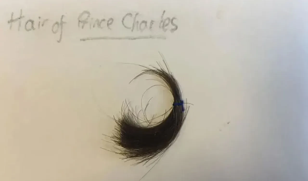Senelerdir saklanan bir tutam saç 450 bin TL'ye satışta! Kral Charles hayranları sırada