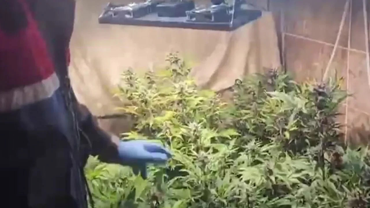 Uyuşturucu operasyonundan şok görüntü! Evini imalathaneye çevirmiş