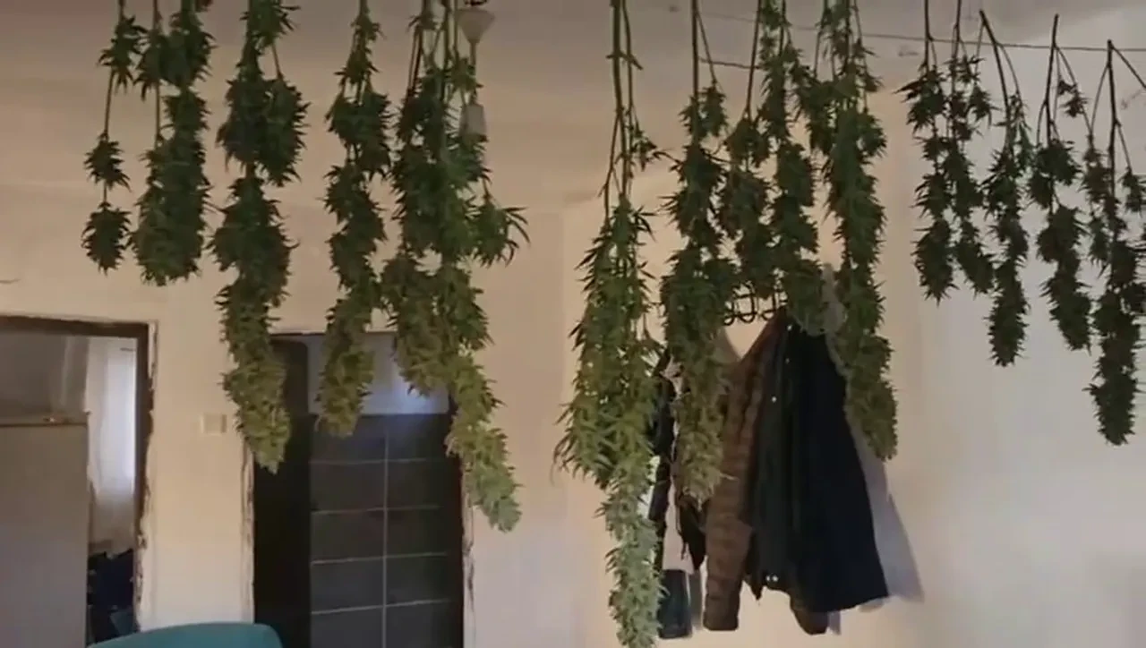 Uyuşturucu operasyonundan şok görüntü! Evini imalathaneye çevirmiş