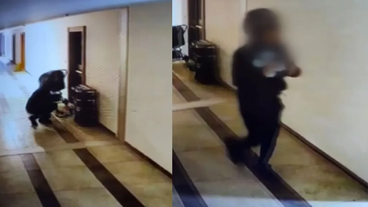 Apartmana dadandı! Siparişi teslim etti 'bahşiş' olarak ayakkabı çaldı!