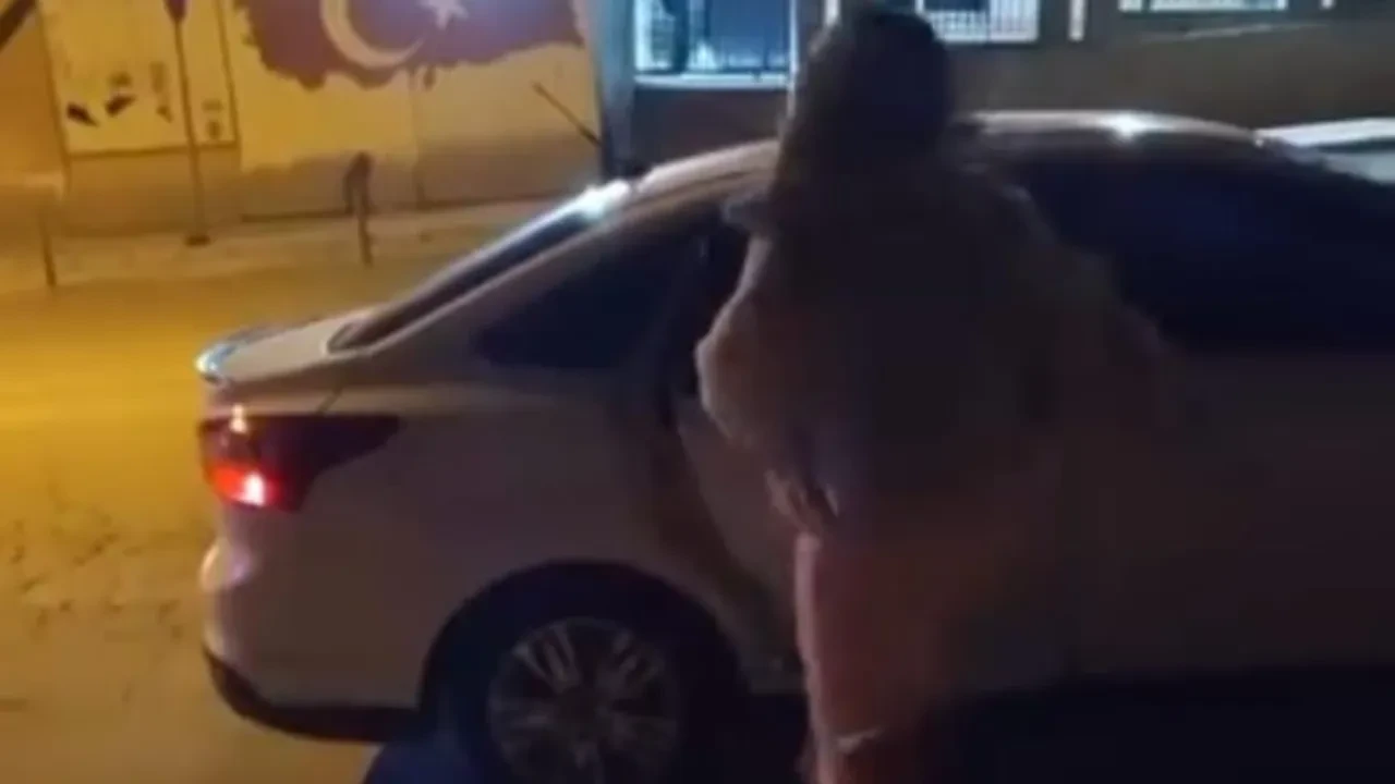 Kadın çılgına döndü! Arabaya tekmeyle yumrukla saldırdı