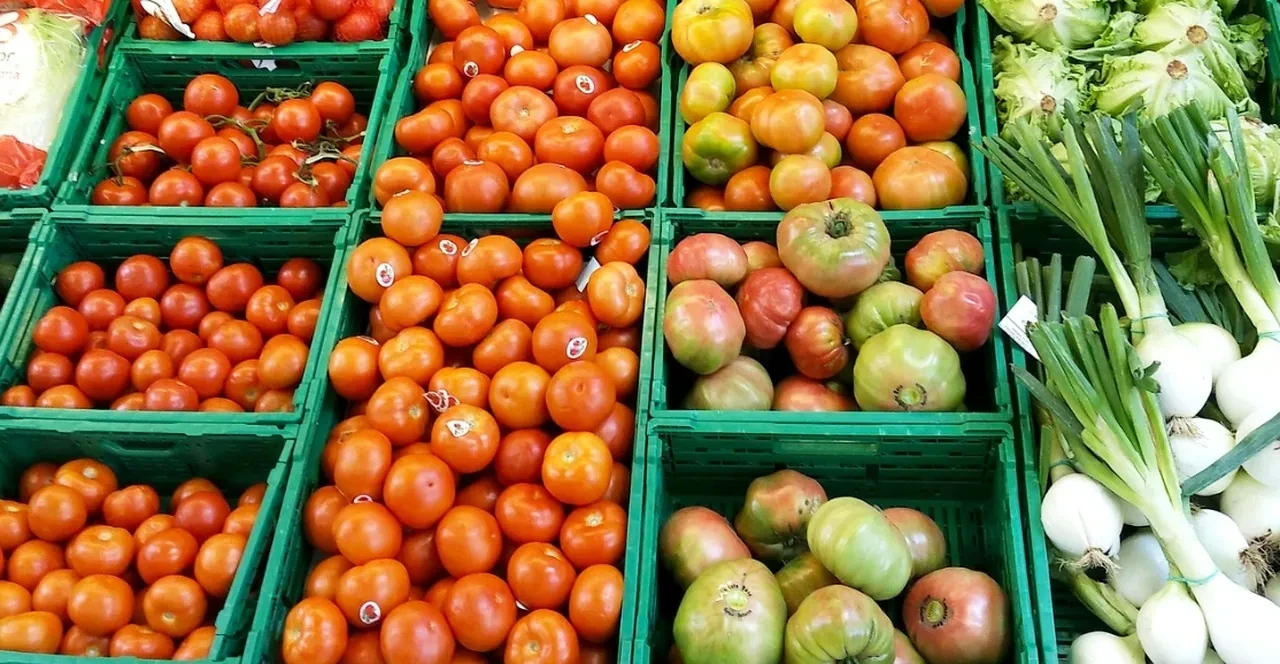 Kasım enflasyon beklentisi