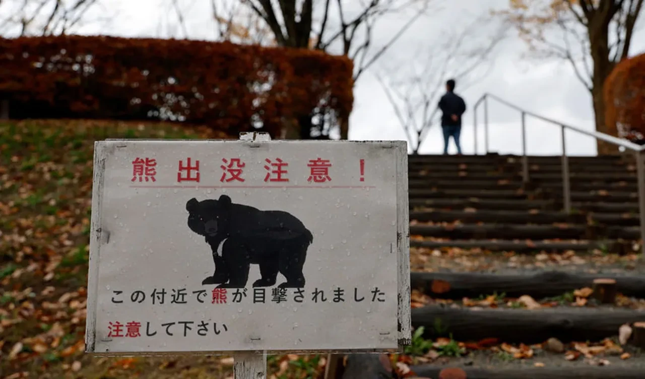 Tuvaletten çıktı ayıyla boğuşmak zorunda kaldı! Yaşlı adam canını zor kurtardı