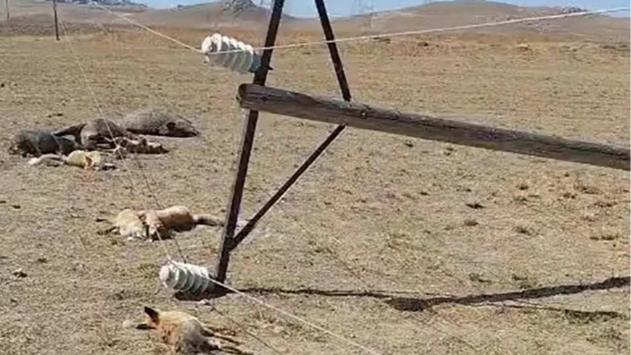 Van'da korkunç manzara kameralarda! Düşen elektrik direği dehşet saçtı