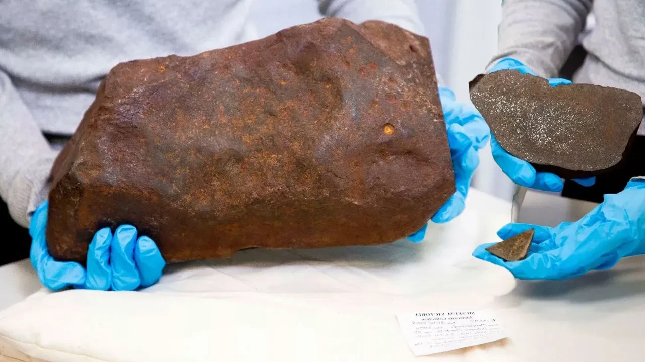 Altına Hücum arama alanında buldu, 3 yıl sonra ne olduğunu öğrendi: Altından daha nadir çıktı