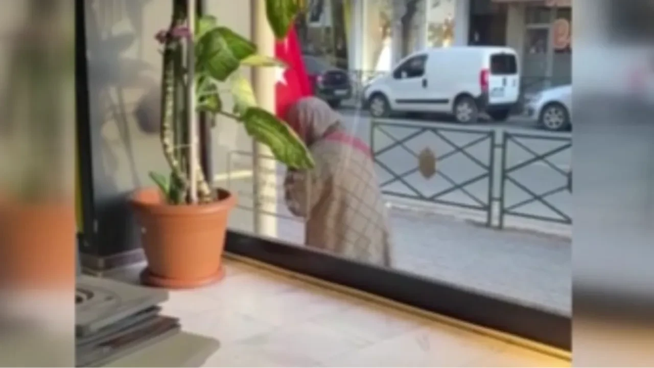 Duygulandıran anlar! Türk bayrağını öpen teyzenin görüntüsü viral oldu
