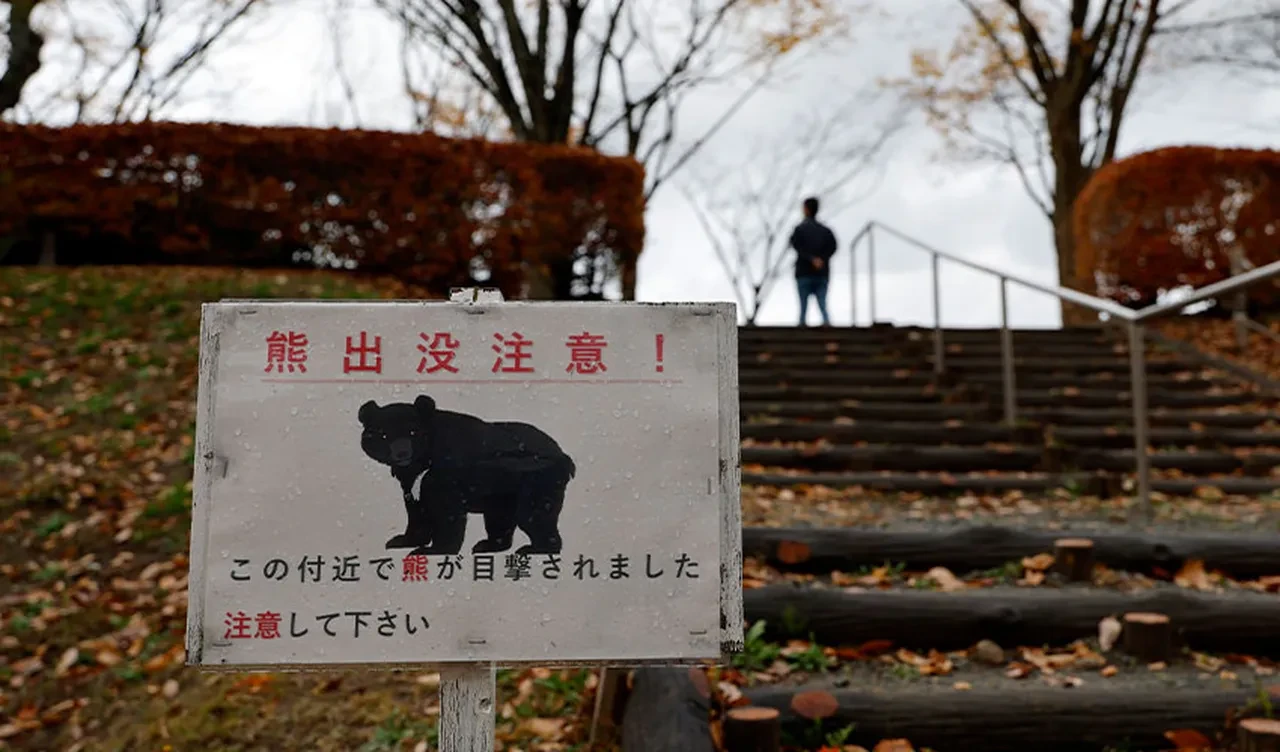 Tuvaletten çıkan adamın ayıyla boğuşması şirketleri harekete geçirdi: Ayı sigortası geliyor