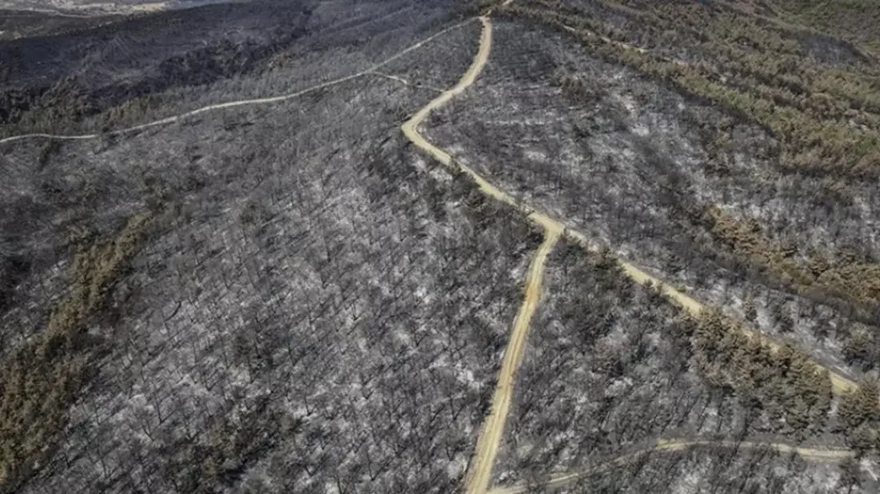 Çanakkale yangınında dehşetin sırrı çözülüyor! Mısırlı genç ile ilgili kahreden şüphe