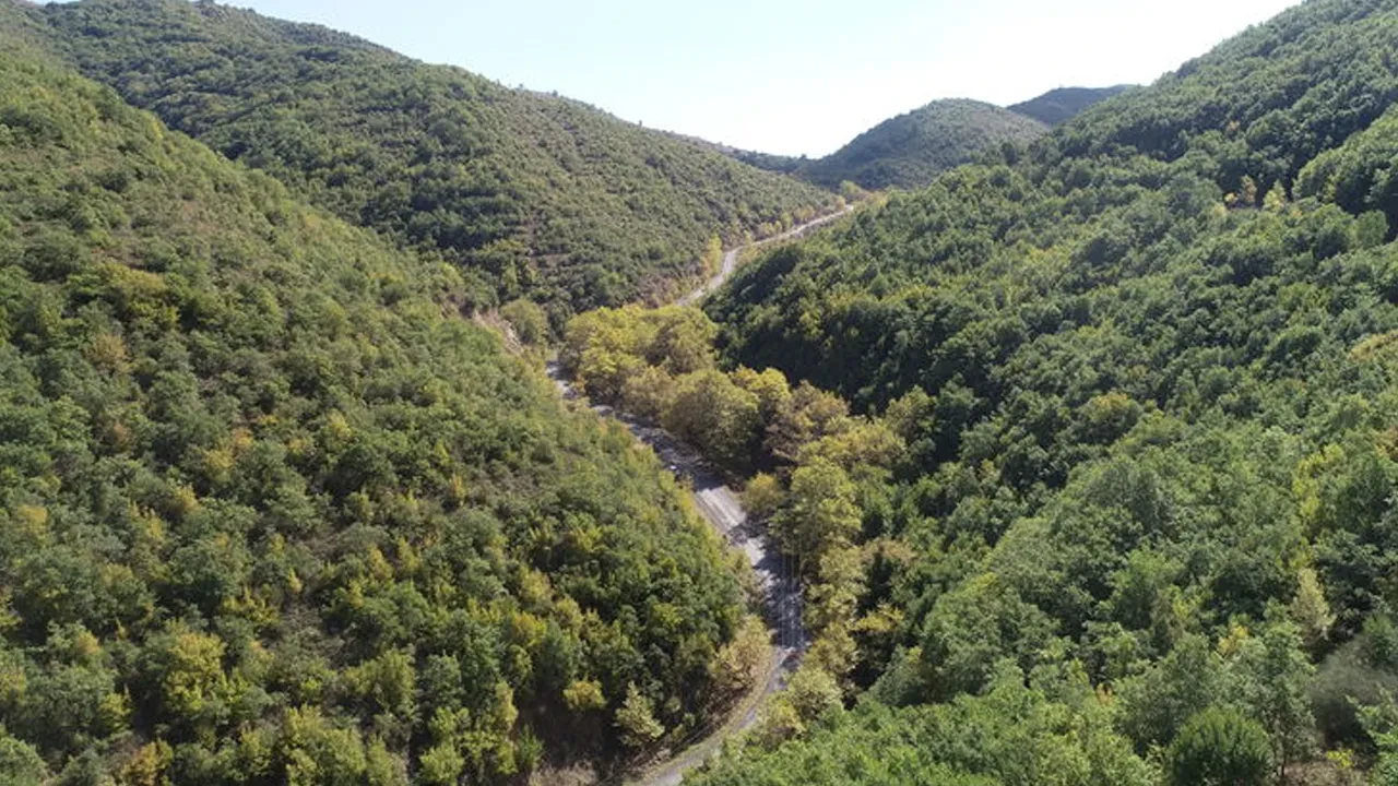 Doğayla en iyi bağ kuran ülkeler açıklandı! Türkiye'nin sıralaması dikkatlerden kaçmadı