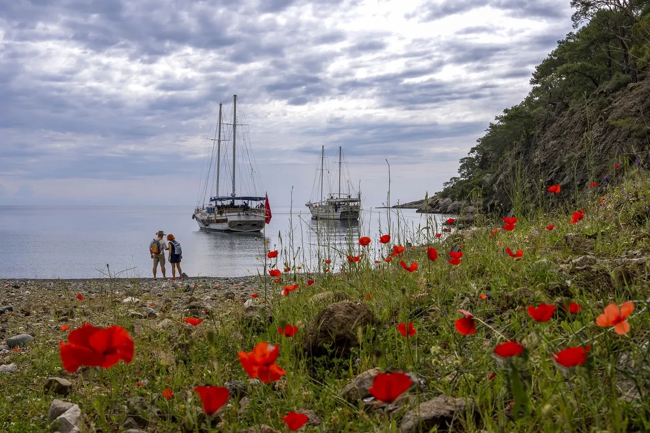 Dünyanın en güzel yürüyüş rotası Türkiye'den seçildi! Likya Yolu nerelerden geçiyor?