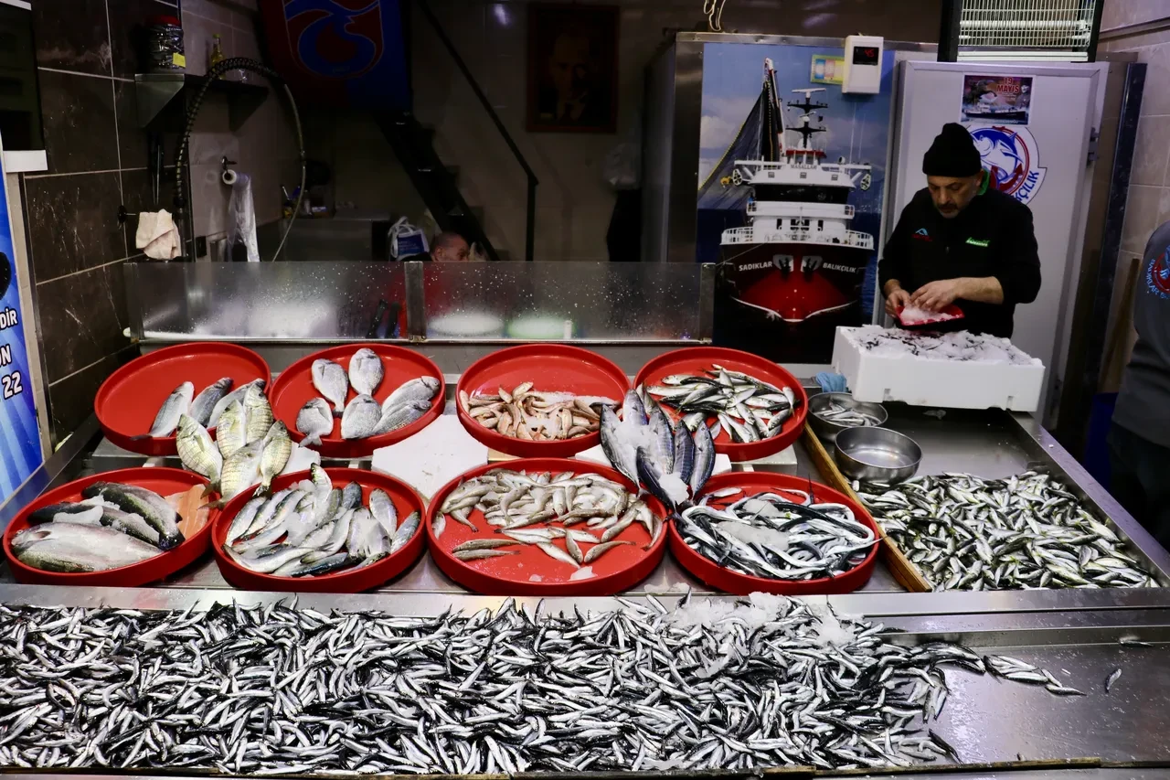 Hamsi çıktığı zaman  bütün balıklar susar! Fiyatlar iyice düştü