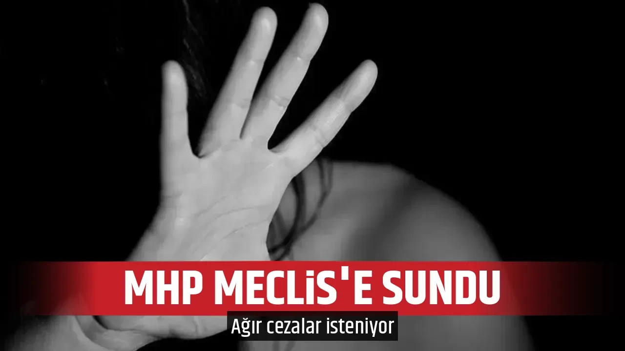 MHP MECLİS'E SUNDU