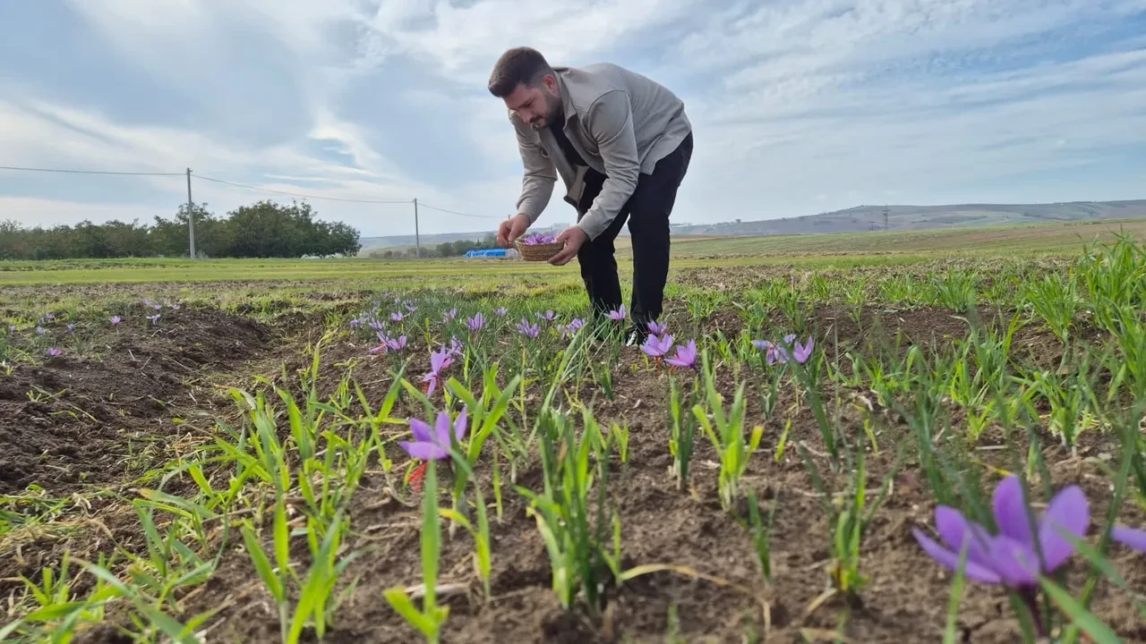 Kilosu 600 bin lirayı buldu! Baharat değil sanki altın madeni