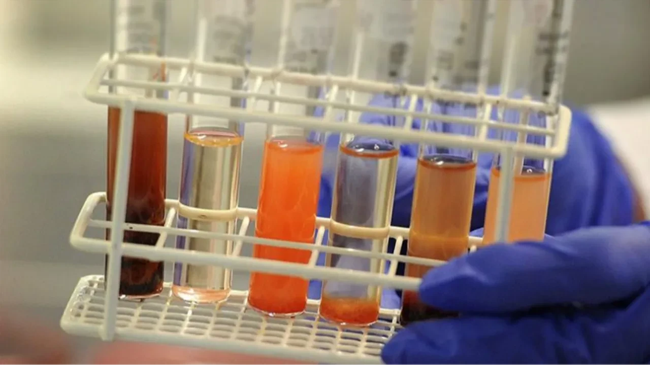 ŞİŞLİ HAMİDİYE ETFAL EĞİTİM ARAŞ.HAS.DÖNER SERMAYE İŞL. MÜD.