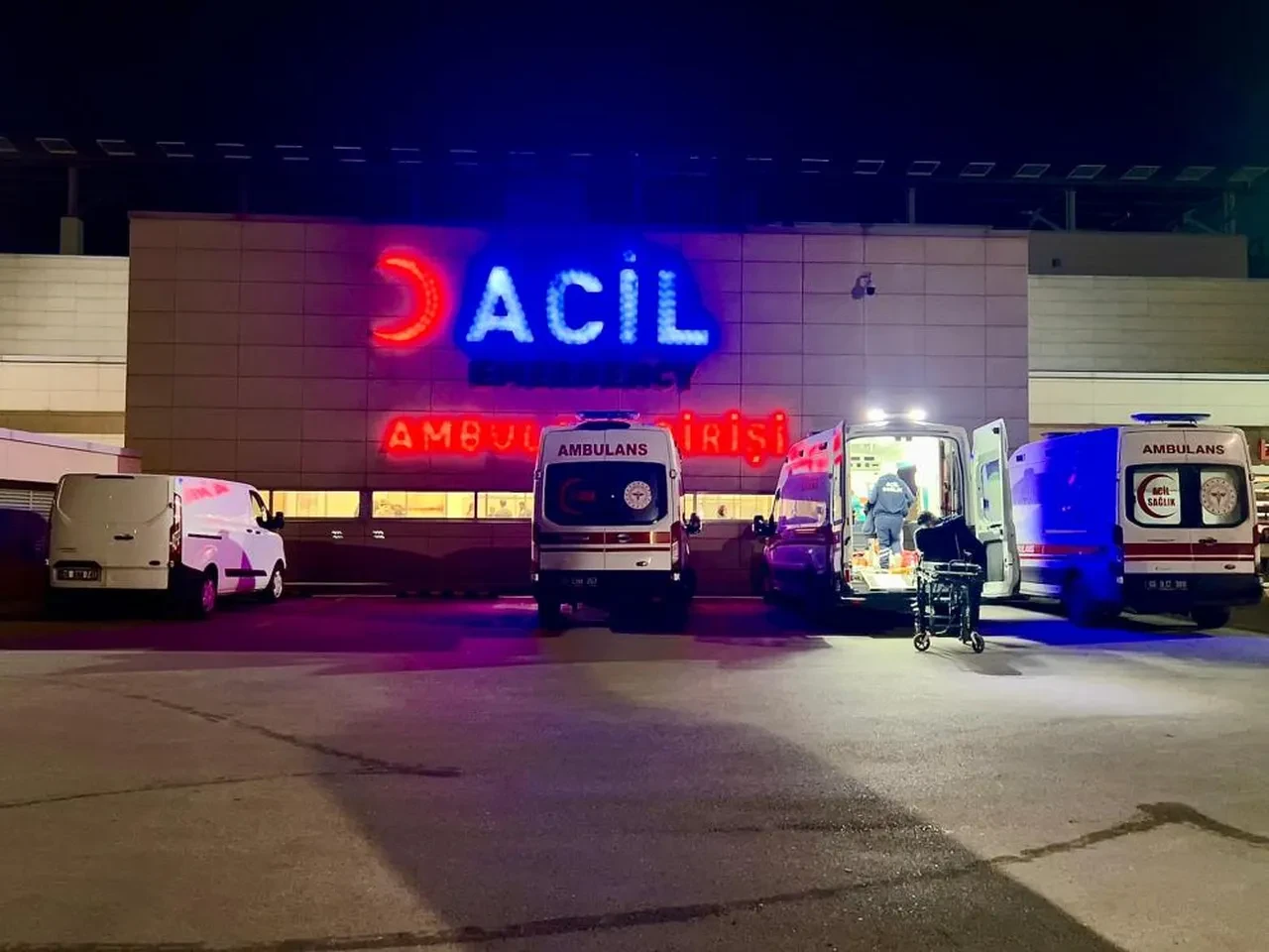 Ağızlıksız gezdirilen pitbull dehşet saçtı! 5 ve 1 yaşındaki kardeşlere saldırdı