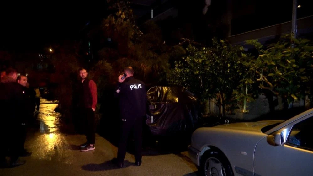 Şikayet edilmişti dinlemediler! Antalya'da fırtına dev ağacı araçların üzerine yıktı