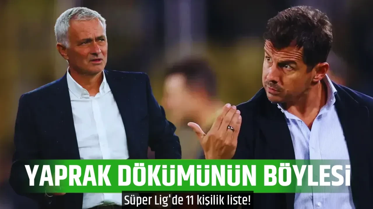 YAPRAK DÖKÜMÜNÜN BÖYLESİ