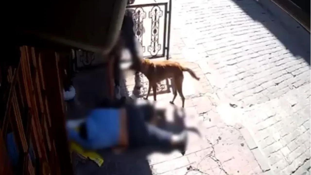 Vicdanları yaralayan olay! Sokak ortasında sara nöbeti geçirdi gasp edildi