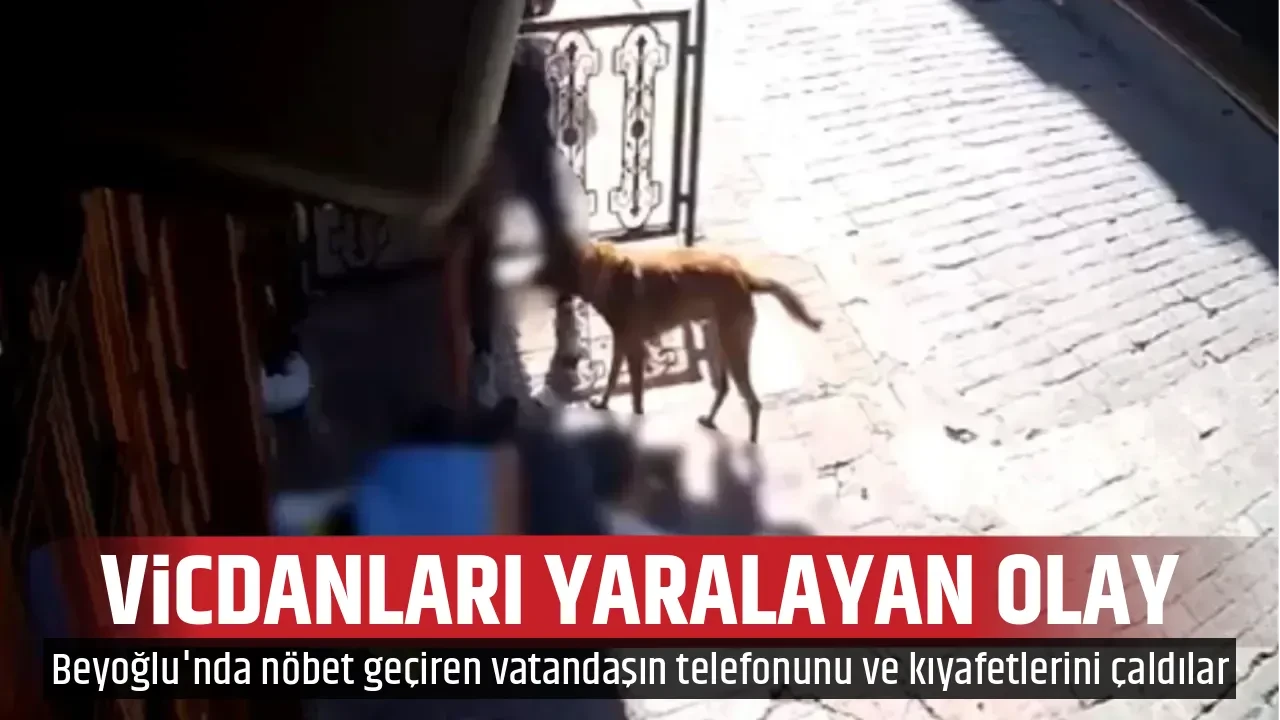 VİCDANLARI YARALAYAN OLAY