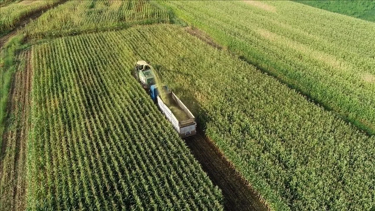 Bakan Yumaklı açıkladı: Çiftçiye 1,7 milyar lira yeni destek ödemesi