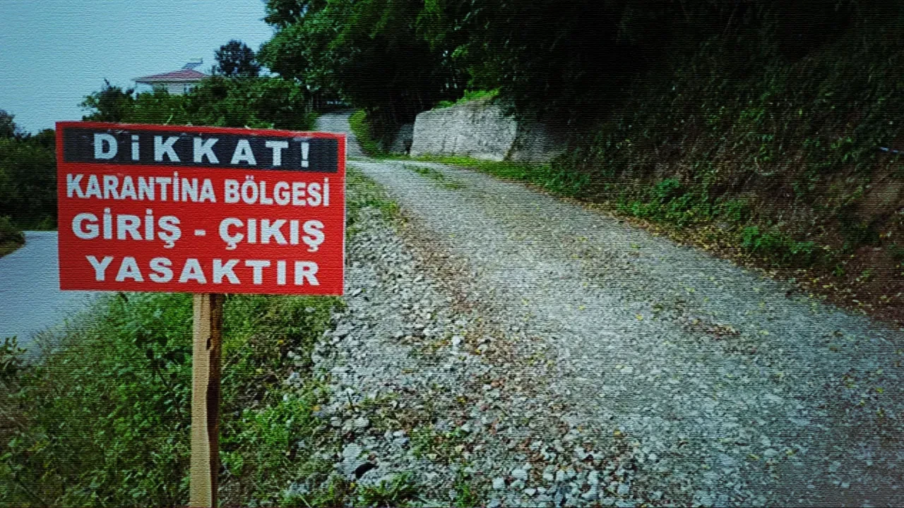 Bolu'da şap alarmı: 22 bölge karantinaya alındı